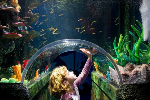 Melbourne BIG Ticket - LEGOLAND Discovery And SEA LIFE Melbourne - Accommodation Perth 2