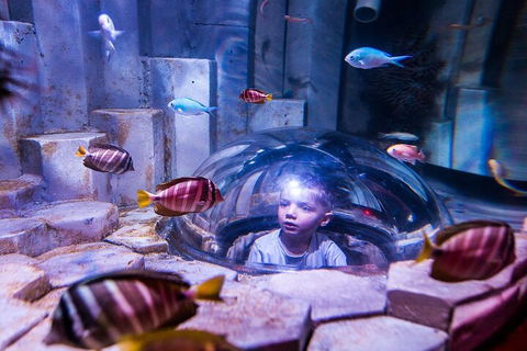 Melbourne BIG Ticket - LEGOLAND Discovery And SEA LIFE Melbourne - Accommodation Perth 5