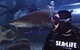 Shark Dive Experience At SEA LIFE Melbourne Aquarium - thumb 2