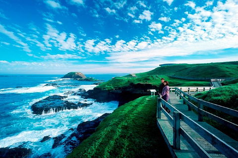 Melbourne Combo: Great Ocean Road + Phillip Island Express + Attraction Pass - Accommodation Perth 1