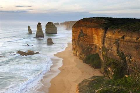 Melbourne Combo: Great Ocean Road + Phillip Island Express + Attraction Pass - Accommodation Perth 5
