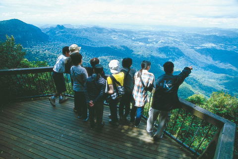 Springbrook National Park & Gold Coast Full Day Luxury Tour From Brisbane - Accommodation Perth 0