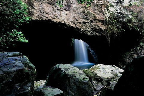 Springbrook National Park & Gold Coast Full Day Luxury Tour From Brisbane - Accommodation Perth 2