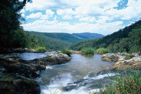 Springbrook National Park & Gold Coast Full Day Luxury Tour From Brisbane - Accommodation Perth 3