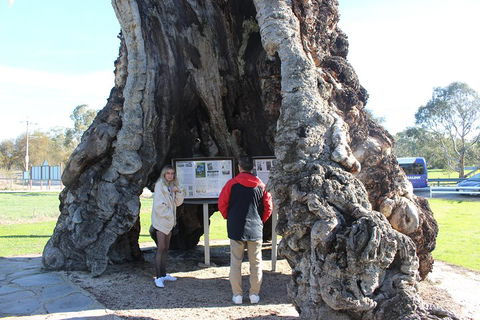 Barossa And Hahndorf Day Trip From Adelaide Including Wine Tasting And Lunch - Perth Resorts 1