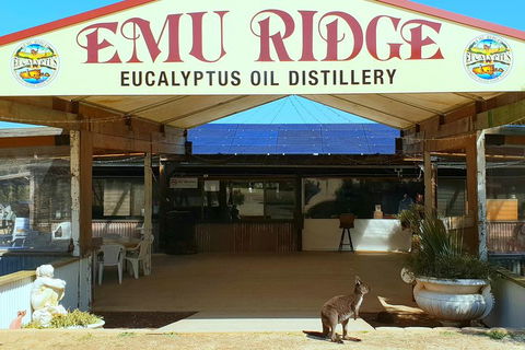 2 Day Ultimate Kangaroo Island With Return Ferry - Accommodation Perth 3