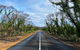 2 Day Ultimate Kangaroo Island With Return Ferry - thumb 4