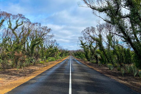 2 Day Ultimate Kangaroo Island With Return Ferry - Accommodation Perth 4