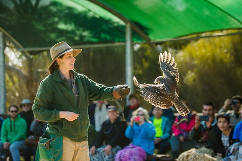 Full Day Kangaroo Island Sip And See Tour Departing From Kangaroo Island - Accommodation Perth 1
