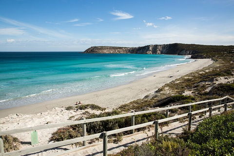 Full Day Kangaroo Island Sip And See Tour Departing From Kangaroo Island - Accommodation Perth 5