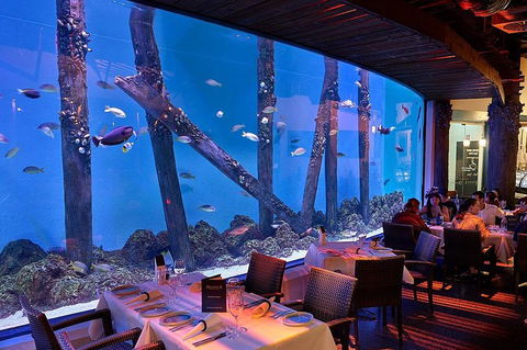 Cairns Aquarium And Small Group City Sightseeing Tour - Perth Resorts 4