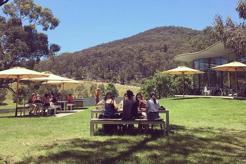 Yarra Valley Wine And Cider Tours By Classic Convertibles From Melbourne - Accommodation Perth 0