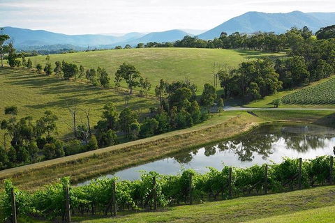 Yarra Valley Wine And Cider Tours By Classic Convertibles From Melbourne - Accommodation Perth 1