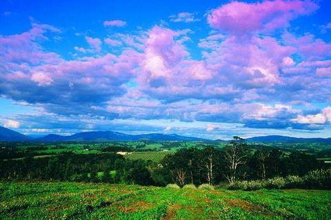 Yarra Valley Wine And Cider Tours By Classic Convertibles From Melbourne - Accommodation Perth 3