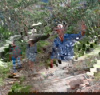Small-Group Blue Mountains Tour with Bush Walks and Featherdale Wildlife Park - Perth Resorts