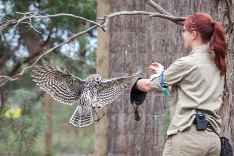 Moonlit Sanctuary Wildlife Conservation Park Daytime General Entry Ticket - Accommodation Perth 1