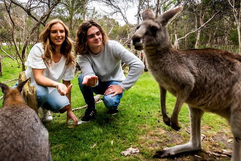Moonlit Sanctuary Wildlife Conservation Park Daytime General Entry Ticket - Accommodation Perth 2