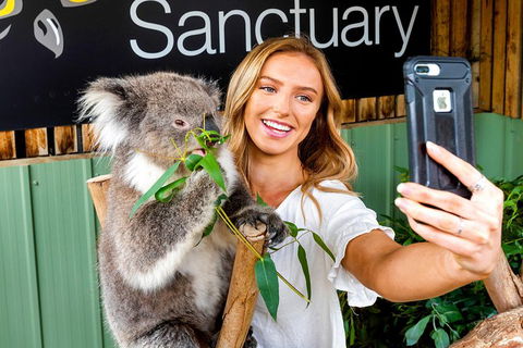 Moonlit Sanctuary Wildlife Conservation Park Daytime General Entry Ticket - Accommodation Perth 4