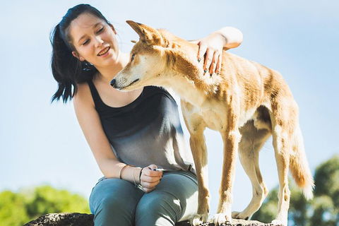 Moonlit Sanctuary Wildlife Conservation Park Daytime General Entry Ticket - Accommodation Perth 5