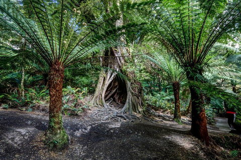 Adelaide To Melbourne 3-Day Trip Through Grampians And Great Ocean Road - Perth Resorts 0