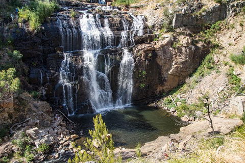 Grampians National Park With Kangaroos And MacKenzie Falls From Melbourne - Accommodation Perth 1