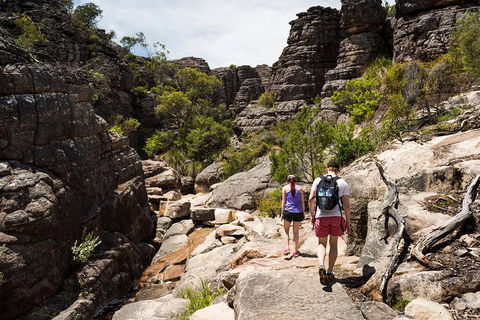 Grampians National Park With Kangaroos And MacKenzie Falls From Melbourne - Accommodation Perth 3