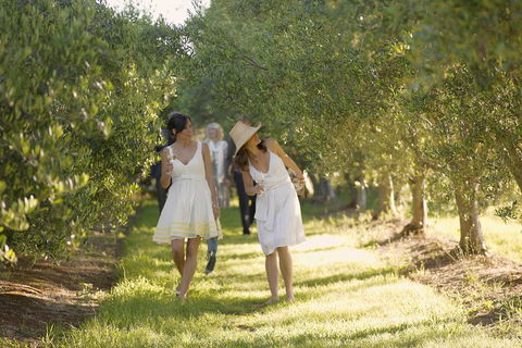 Yarra Valley Wine Tour With Local Harvest Tastings From Melbourne - Accommodation Perth 0
