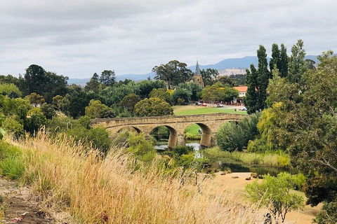 Day Tour In Mt. Field, Mt. Wellington, Bonorong Wildlife Sanctuary And Richmond - Accommodation Perth 3