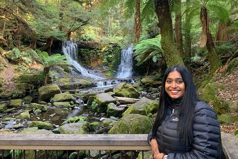 Day Tour In Mt. Field, Mt. Wellington, Bonorong Wildlife Sanctuary And Richmond - Accommodation Perth 5