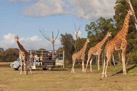 Off-Road Safari At Werribee Open Range Zoo - Perth Resorts 3