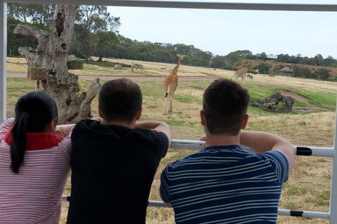 Off-Road Safari At Werribee Open Range Zoo - Perth Resorts 4