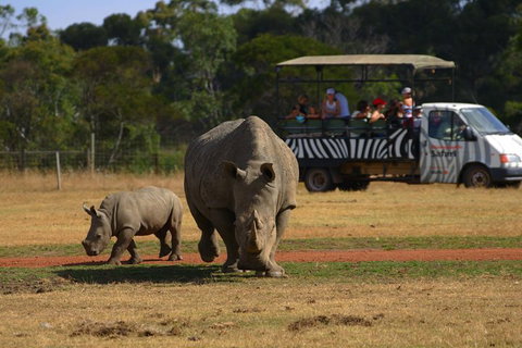 Off-Road Safari At Werribee Open Range Zoo - Perth Resorts 5