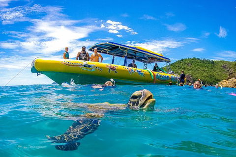 Great Barrier Reef Scenic Flight And Ocean Rafting Whitehaven Beach Day Trip - Accommodation Perth 1