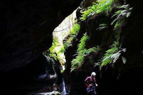 Full-Day Canyoning Experience At Stunning Empress Canyon - Accommodation Perth 2