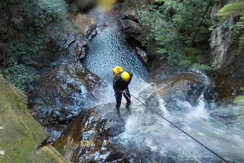 Full-Day Canyoning Experience At Stunning Empress Canyon - Accommodation Perth 4