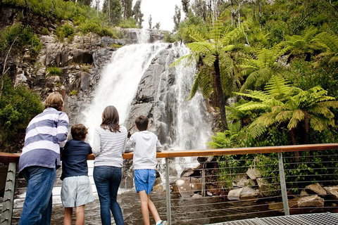 Lake Mountain Snow Trip Including Yarra Valley Chocolaterie From Melbourne - Accommodation Perth 0