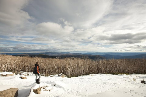 Lake Mountain Snow Trip Including Yarra Valley Chocolaterie From Melbourne - Accommodation Perth 5