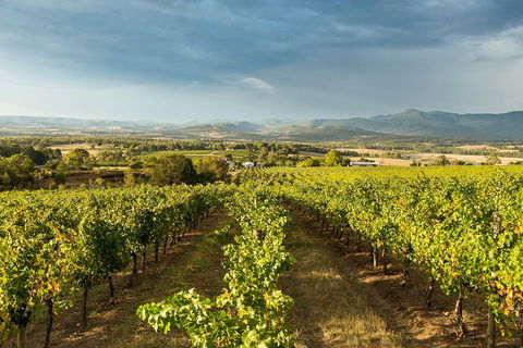 Yarra Valley Local Produce And Wine Tasting Tour - Accommodation Perth 3