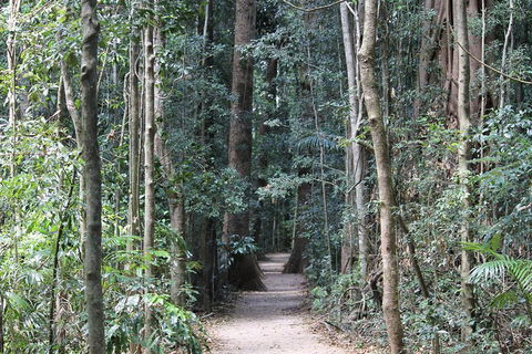 Eumundi Markets And Sunshine Coast Day Trip From Brisbane - Accommodation Perth 4