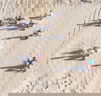 Unlimited Sandboarding - Accommodation Perth