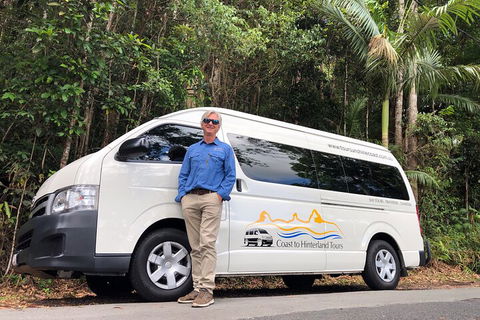 Sunshine Coast Hinterland Rainforest, Views And Montville Day Tour Inc. Lunch - Accommodation Perth 1