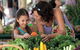 Sunshine Coast Eumundi Markets Return Minibus Transfer - thumb 4