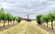 Private Helicopter Flight To Hunter Valley With A La Carte Lunch - For 2 - thumb 4