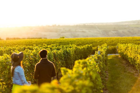 Margaret River Private Tour - Accommodation Perth 2