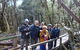 Blue Mountains Private Tour With Wildlife Park And River Cruise - thumb 2