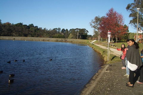 PRIVATE All-Day Blue Mountains Tour With Professional Guide For Up To 4 People - Perth Resorts 2