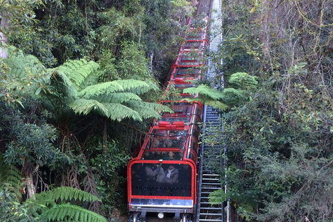 Blue Mountains Private Full-Day Tour From Sydney With Cruise - Perth Resorts 5