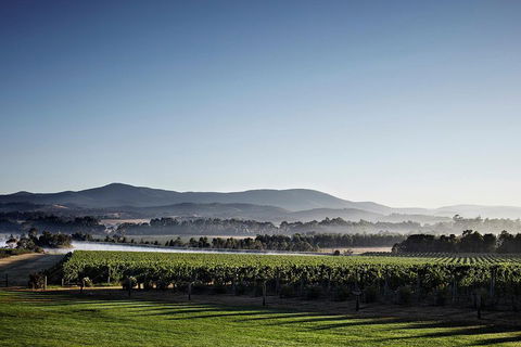 Chauffeur Driven Yarra Valley Group Wine Tour - Up To 7 - Perth Resorts 2