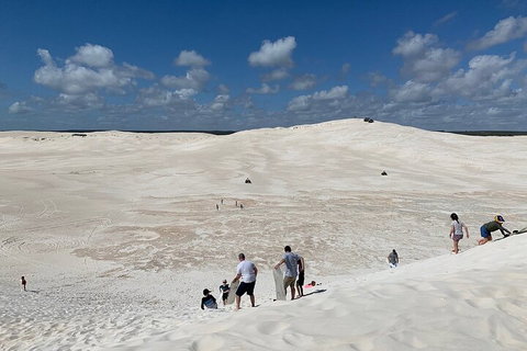 Pinnacles Day Trip From Perth Including Yanchep National Park - Accommodation Perth 2