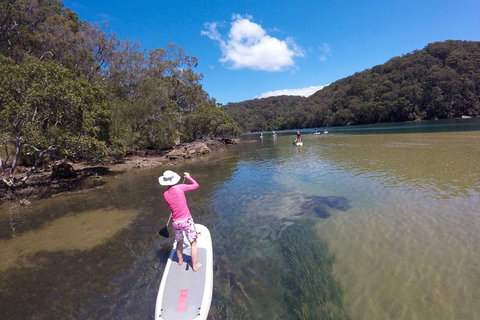 Ku-ring-gai Chase National Park Stand Up Paddleboard Tour - Accommodation Perth 0